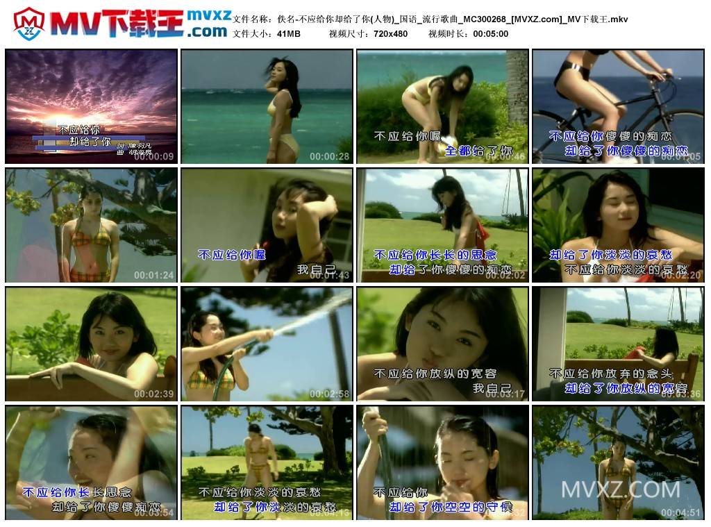 佚名-不应给你却给了你(人物)_国语_流行歌曲_MC300268